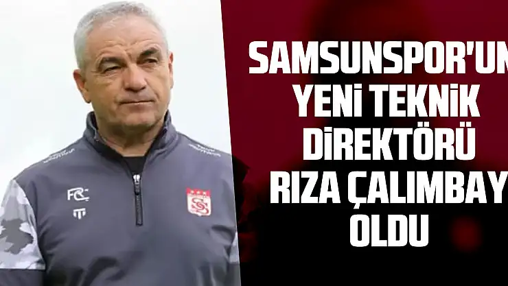 Samsunspor'un yeni teknik direktörü Rıza Çalımbay oldu