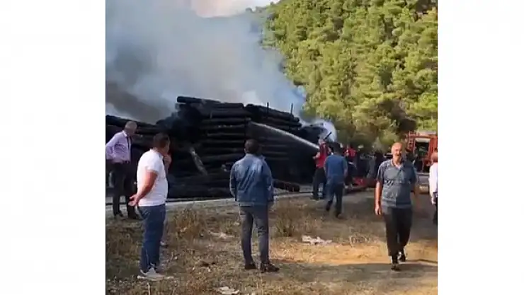 Tomruk yüklü tır alevlere teslim oldu