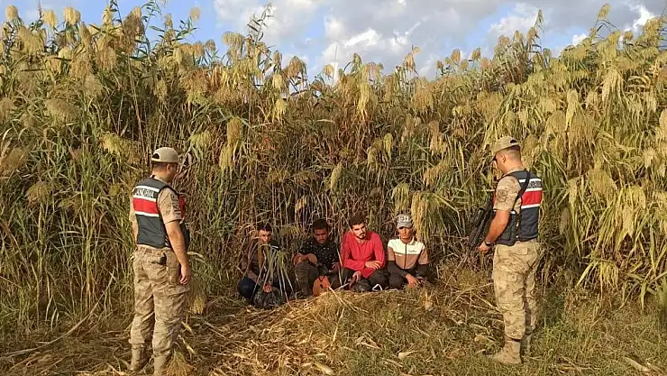 Kilis'te 4 düzensiz göçmen yakalandı