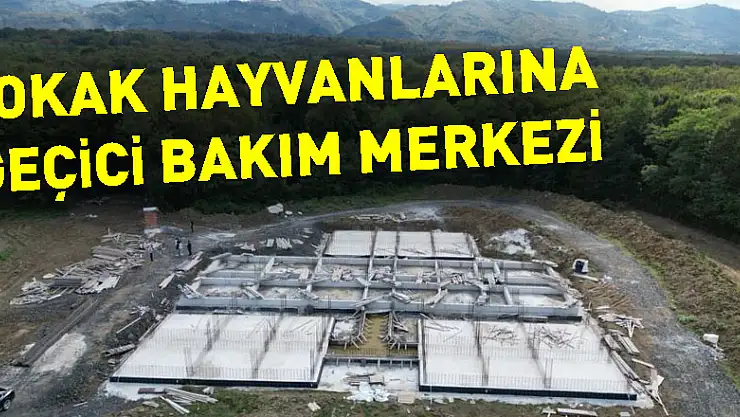 Başkan Doğan: 'Sokak hayvanları için geçici bakım merkezi yapıyoruz'