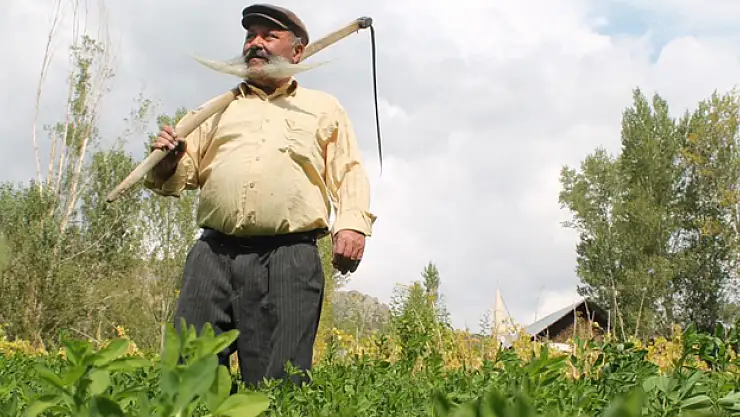 Ne kalp krizi ne ayı dinledi: Meşhur pala sıhhatine çalışmayla kavuştu