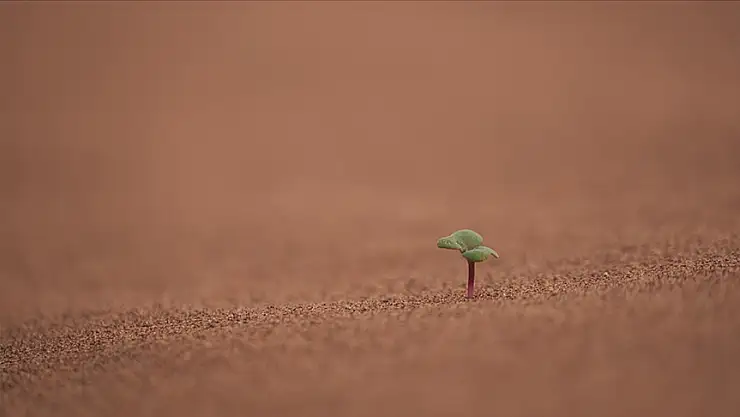İklim krizleri su altyapısına yönelik küresel finansman ihtiyacını artırıyor