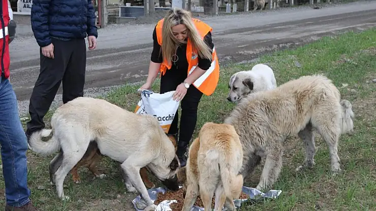Atakum Belediyesi'nden patili dostlara 32 ton mama desteği