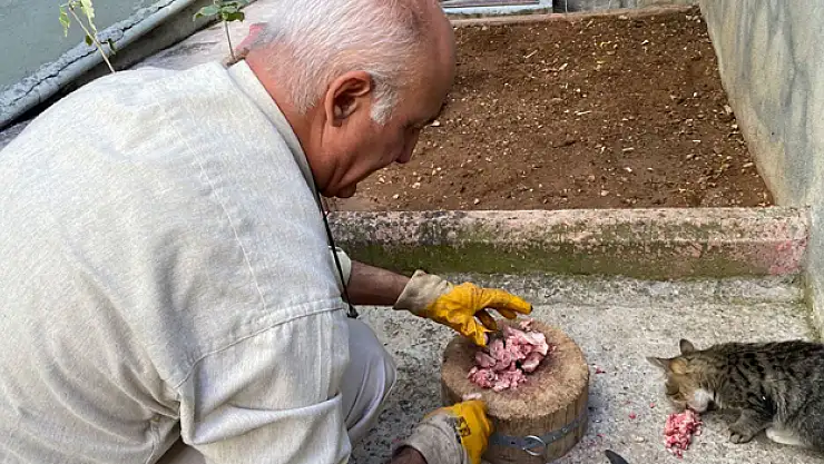 Depremde tedavi edip iyileştirdiler, şimdi ailenin parçası oldu