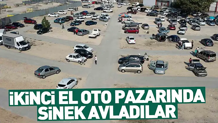 İkinci el oto pazarında sinek avladılar
