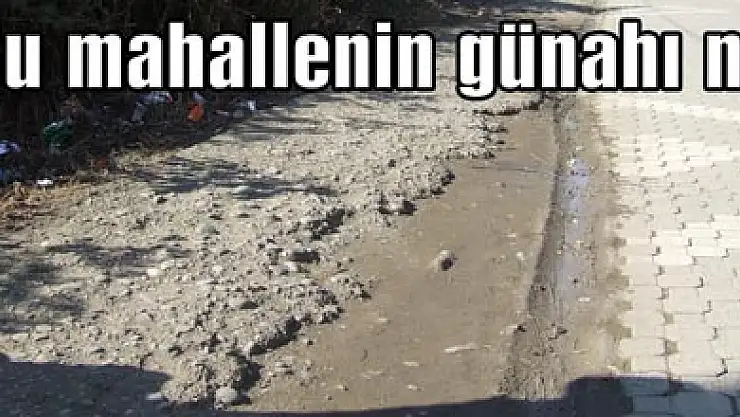 'Bu mahallenin günahı ne?'