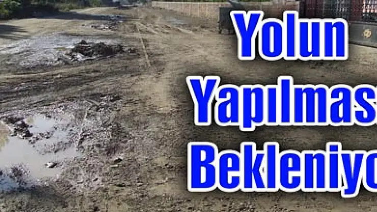 Yolun Yapılması Bekleniyor