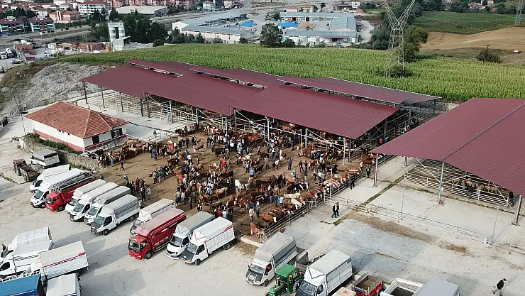 Hayvan pazarı yeniden açılıyor