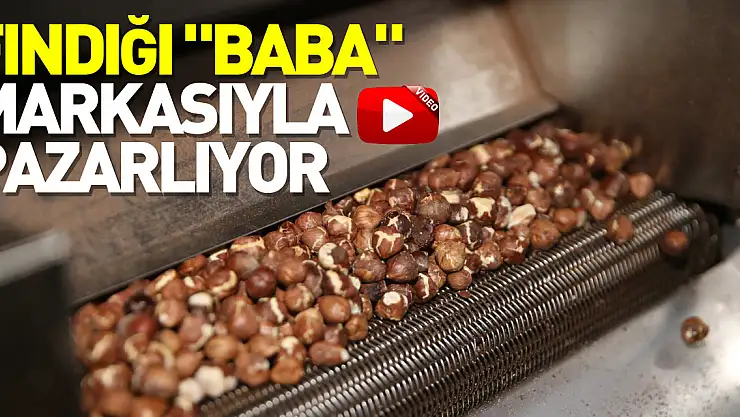 Fındığı 'Baba' markasıyla pazarlıyor