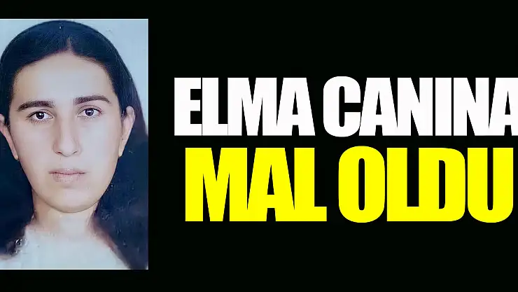 Elma canına mal oldu
