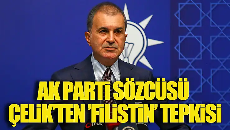 AK Parti Sözcüsü Çelik'ten 'Filistin' tepkisi