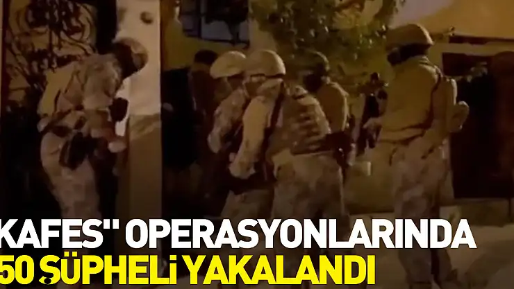 'Kafes' operasyonlarında 150 şüpheli yakalandı