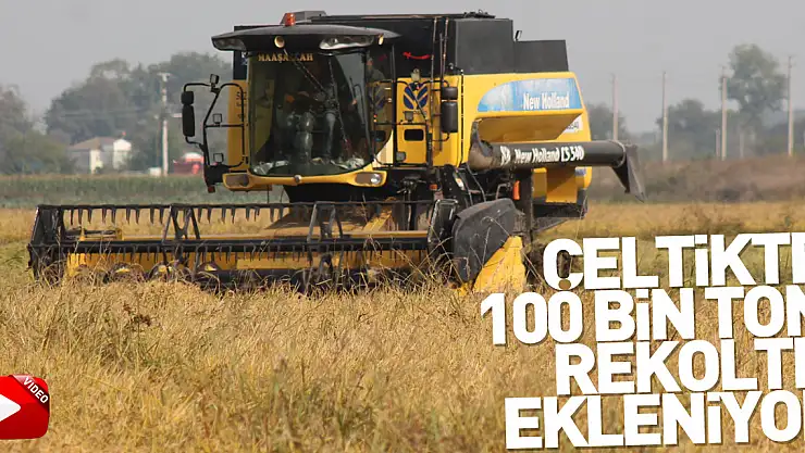 Çeltikte 100 bin ton rekolte bekleniyor
