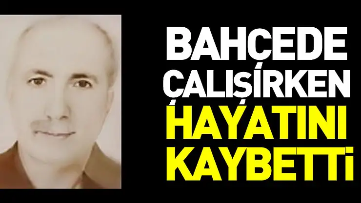 Bahçede Çalışırken Hayatını Kaybetti