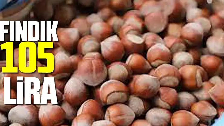 Fındık 105 lira