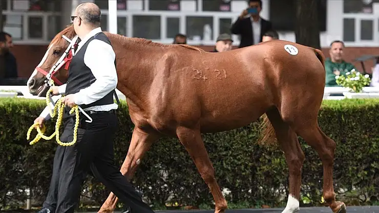 TİGEM'e 104,5 milyon liralık rekor gelir