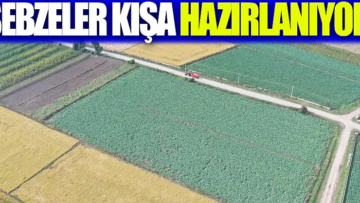 Sebzeler kışa hazıranıyor