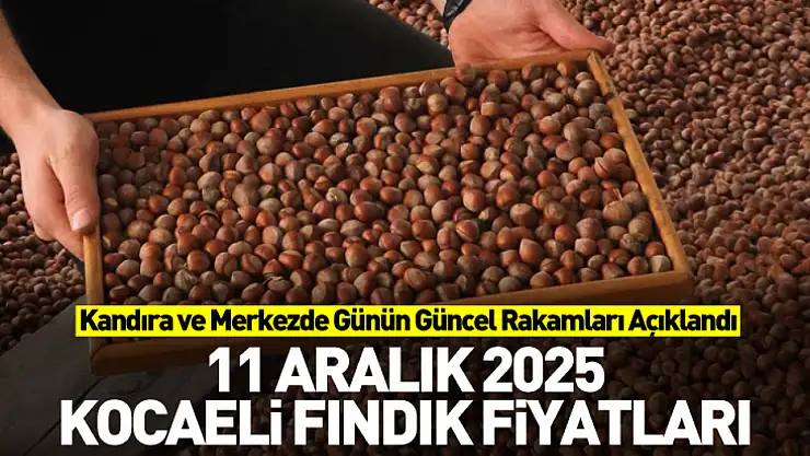 11 Aralık 2025 Kocaeli Fındık Fiyatları | Kandıra ve Merkezde Günün Güncel Rakamları Açıklandı