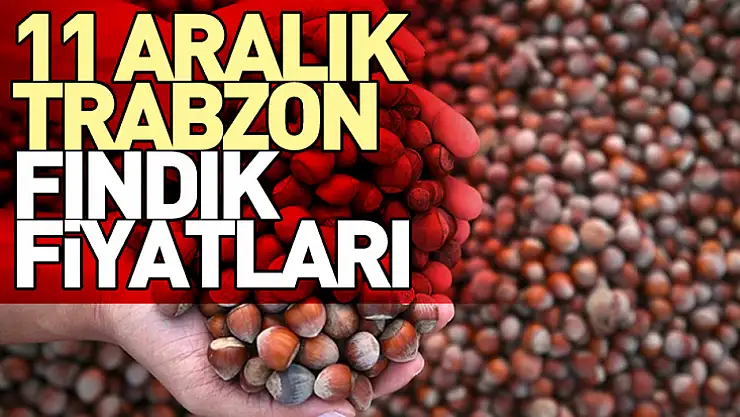 11 Aralık 2025 Trabzon Fındık Fiyatları