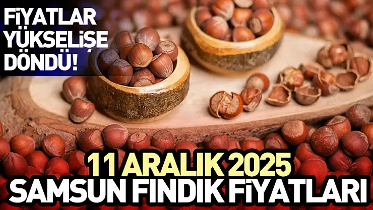 11 Aralık Samsun Fındık Fiyatları