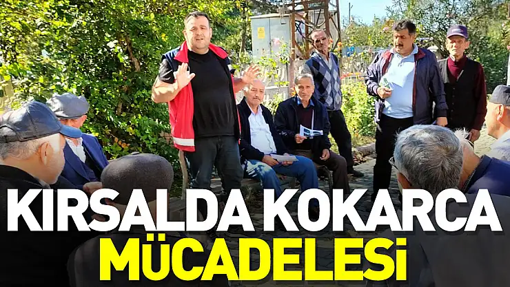 Kırsal Mahallelerde Kahverengi Kokarca Mücadelesi