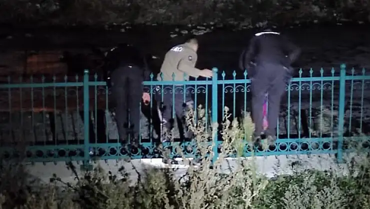 Samsun'da derede mahsur kalan kediyi bekçiler kurtardı