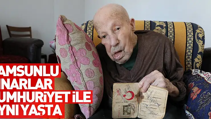 SAMSUNLU ÇINARLAR CUMHURİYET İLE AYNI YAŞTA