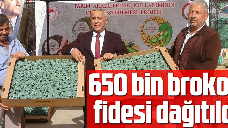 650 bin brokoli fidesi dağıtıldı