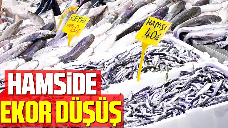 Hamside Rekor Düşüş