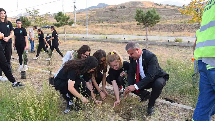 100. yıl için 1923 fidan dikildi