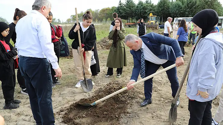 19 Mayıs ilçesinde hatıra ormanı oluşturuldu