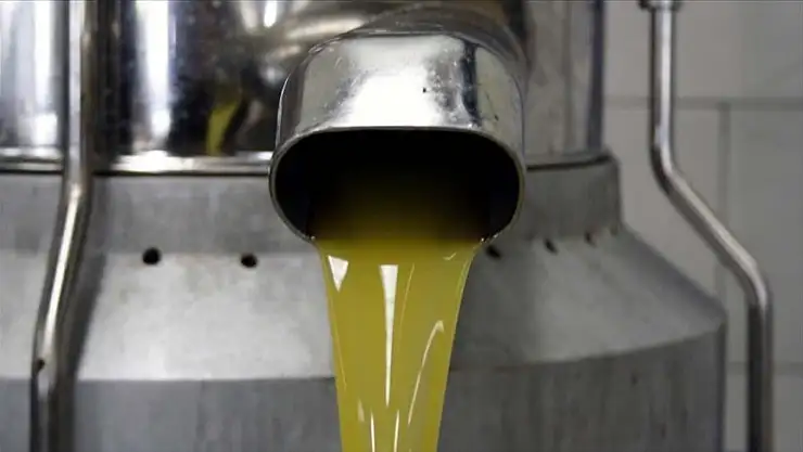 Zeytinyağı ve pirina yağına düzenleme