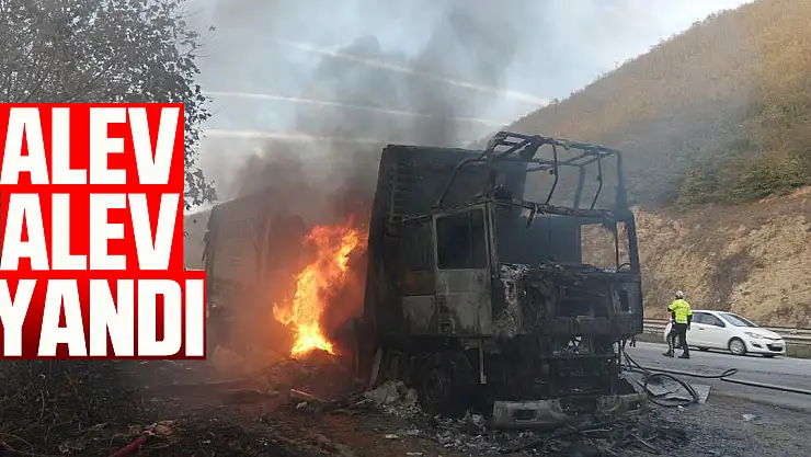 Alev Alev Yandı