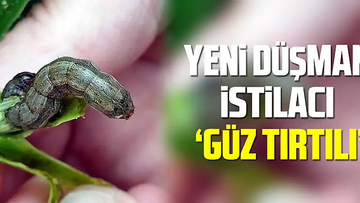 Yeni Düşman İstilacı 'Güz Tırtılı'