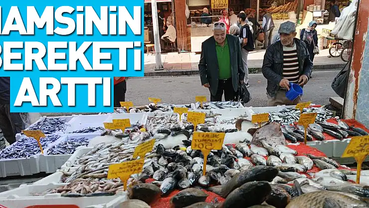Hamsinin Bereketi Arttı