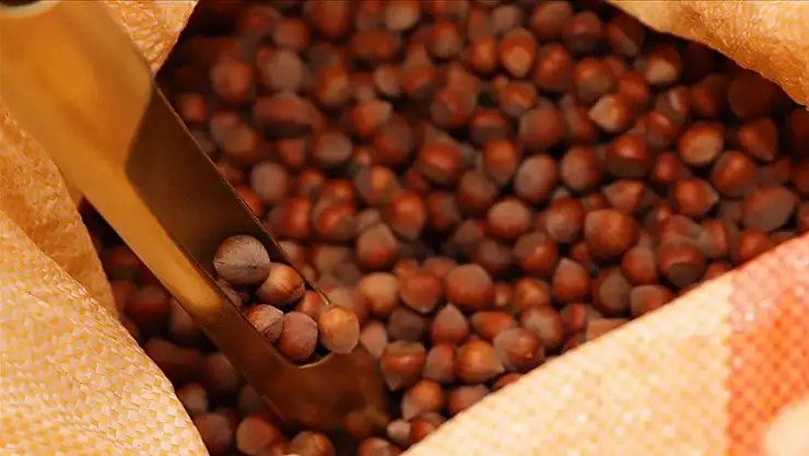 iki ayda 358 milyon dolar değerinde ihracat