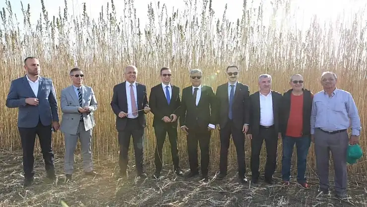 Kenevirde İş Birliği