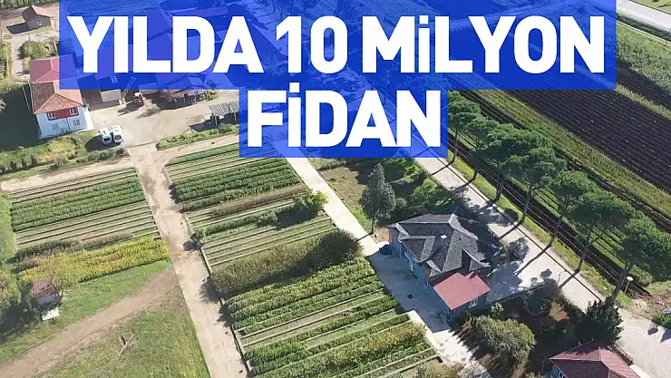 Yılda 10 Milyon Fidan