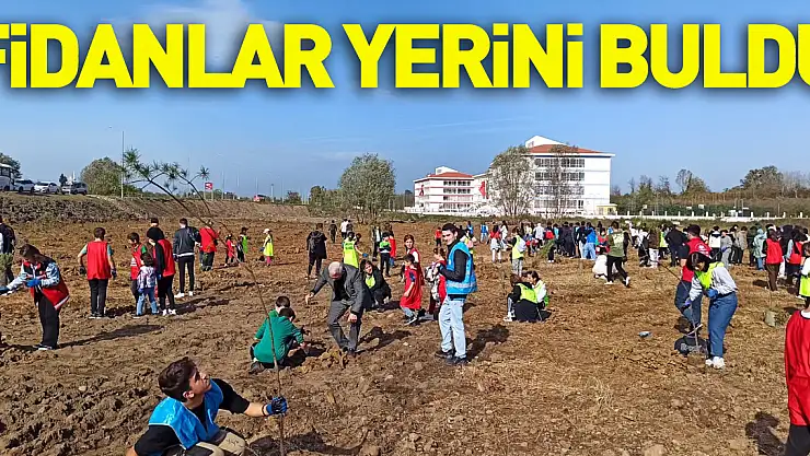 FİDANLAR YERİNİ BULDU