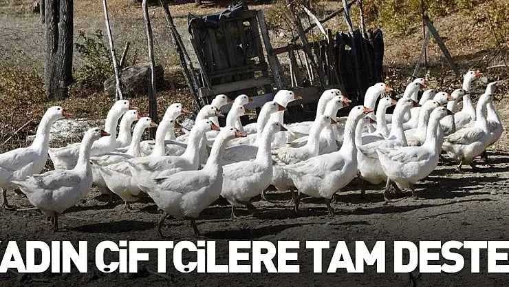 Kadın Çiftçilere Tam Destek