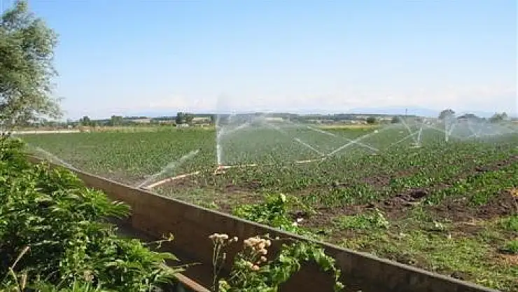 Bafra Sol Sahil Sulama Projesiİ 4 Yılda 170 Milyon Kaynakla Tamamlanacak