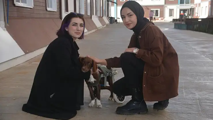 öğrencilerin ilgi odağı oldu