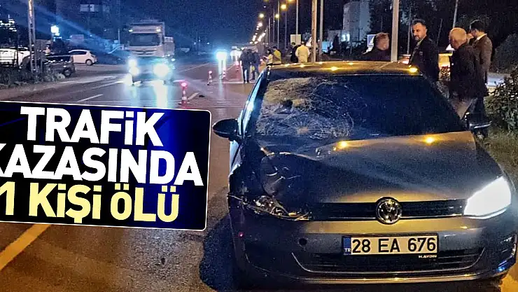 Trafik kazasında 1 kişi ölü
