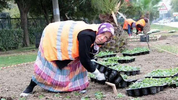 Refüj Çiçeklerine Kadın Eli