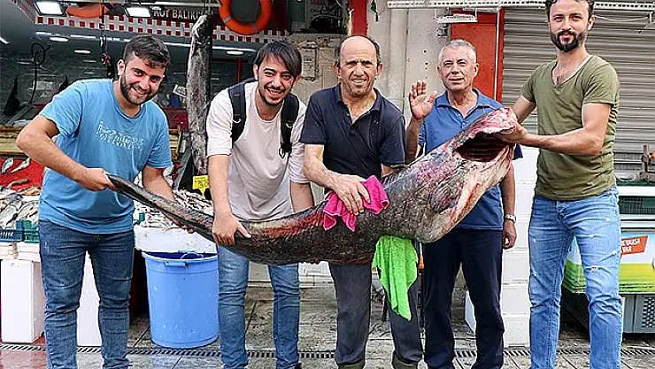Samsun'da 33 kilogramlık yayın balığı