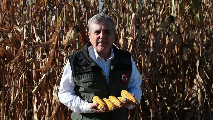 Atık su gübresinde yüksek rekolte