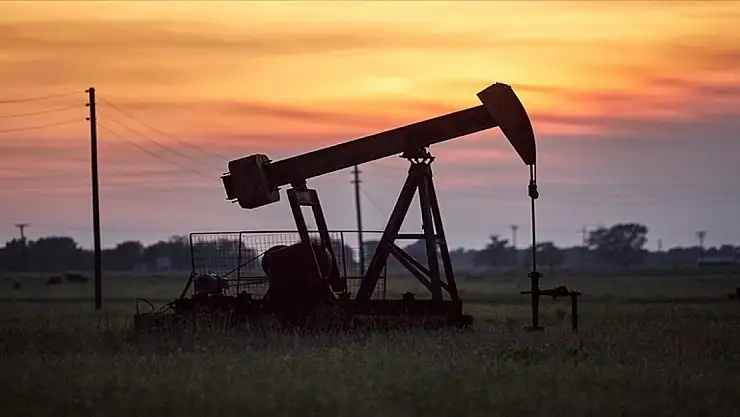 Petrol ve doğal gaz üretimi bu yıl azalacak