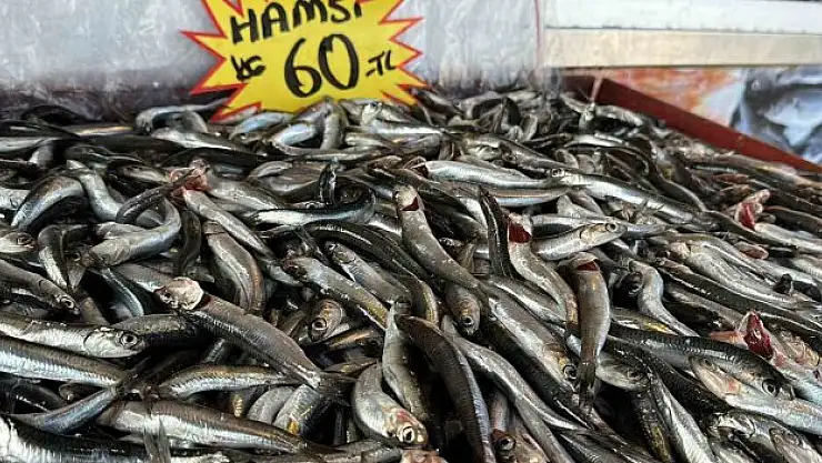 Tezgahlarda son durum