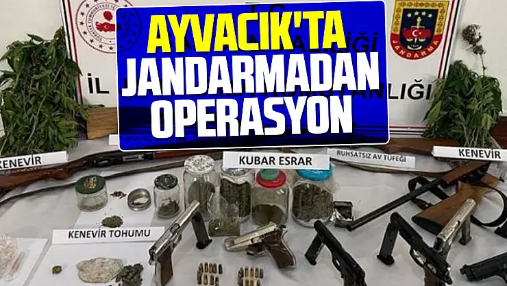 Ayvacık'ta jandarmadan operasyon