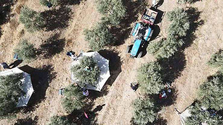 Bitkisel üretim desteklemelerinde düzenleme